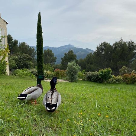 La Maison Perchee Auriol Dış mekan fotoğraf