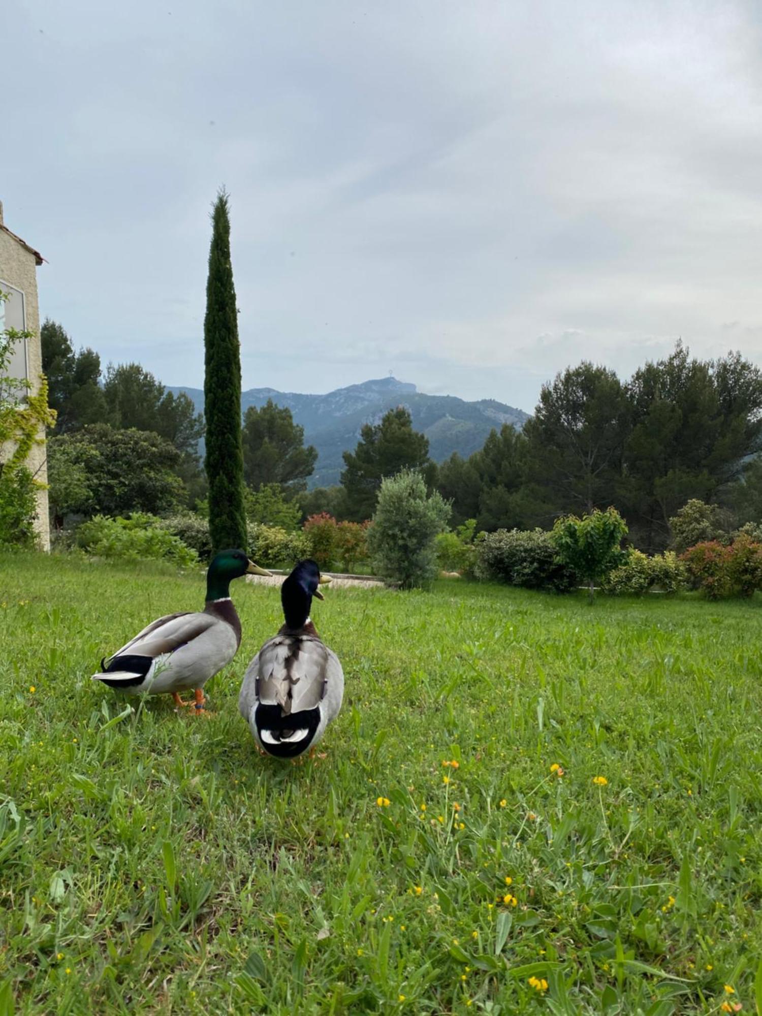 La Maison Perchee Auriol Dış mekan fotoğraf